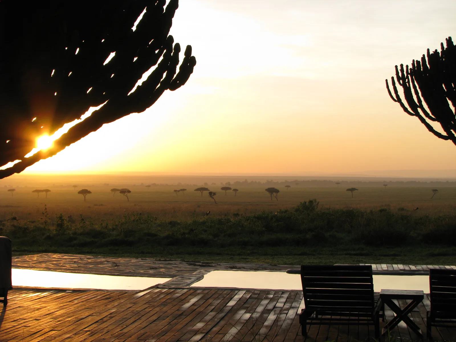 sunset in Africa golden hew over the landscape